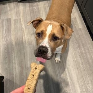 Meet your Posher, Lyndsey